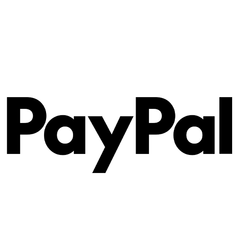 paypal payment option icon